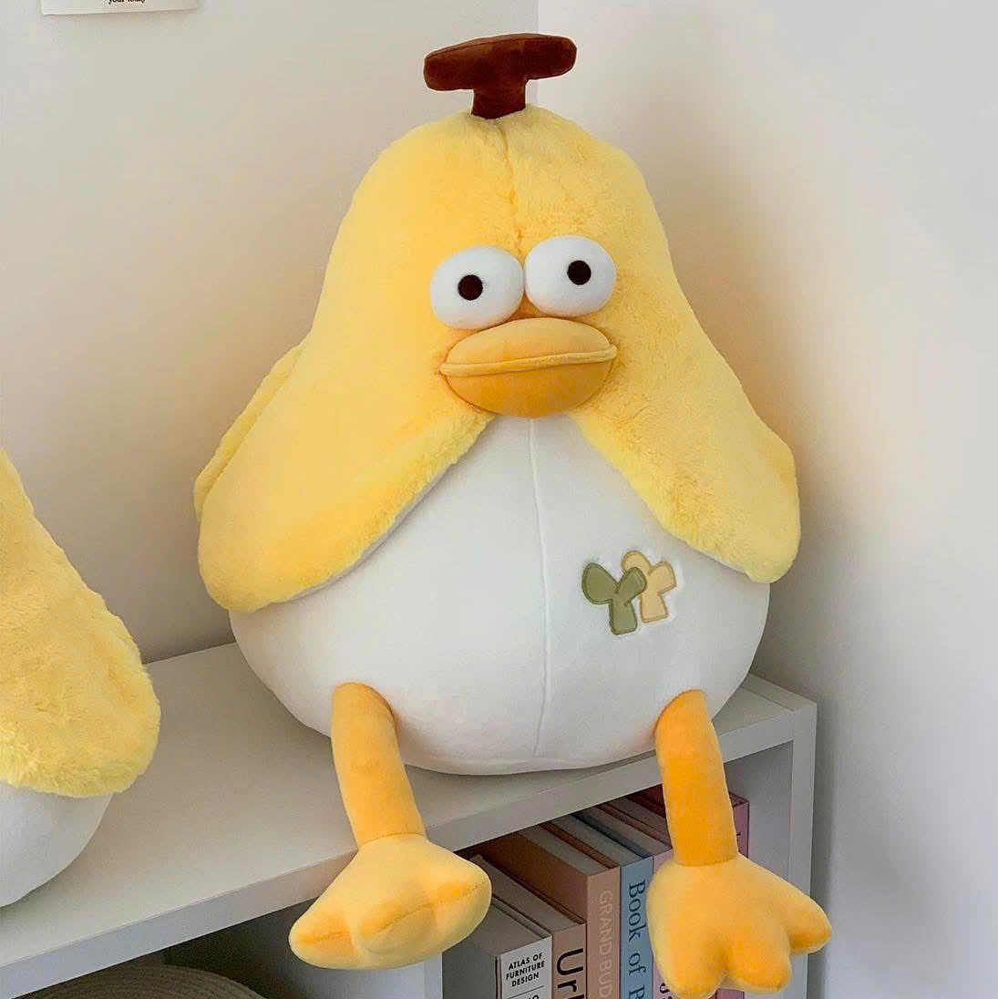 z6647520252274_1253131e3589416d5126cf8dfb5e504b