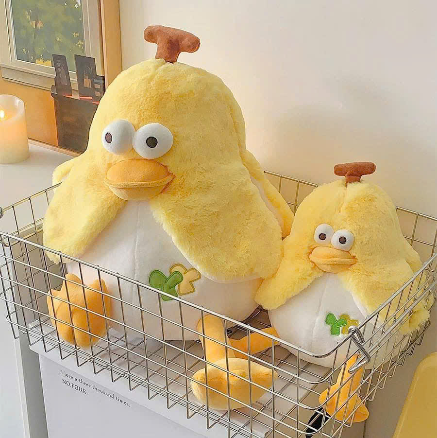 z6647520260189_6c33cf2e618720c28009789276abea6e